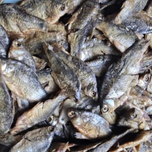 Alternative view of হাসুর পুঁটি মাছের চ্যাপা (নান্দাইলের বিখ্যাত চ্যাপা)